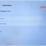 Windows11查看系統(tǒng)激活碼的方法